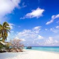 Tropical House